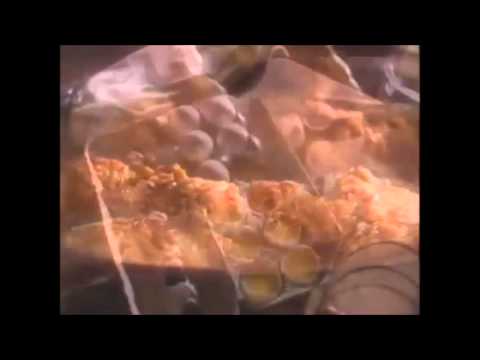 Theme Song Paula Deen