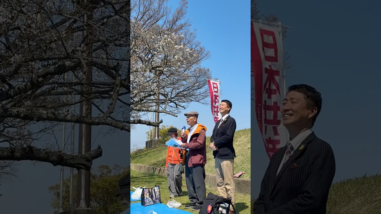 泉佐野のお花見に参加しました🌸 #清水ただし #日本共産党 #桜
