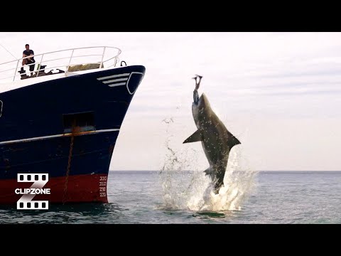 Deep Blue Sea 3 | Human Fish Food | ClipZone: High Octane Hits