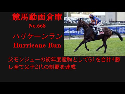 【競馬】ハリケーンラン　Hurricane Run【No668】