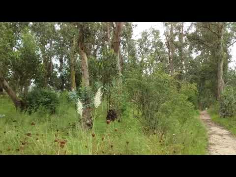 Domingo. Parque Lineal Villa García. Montevideo Uruguay