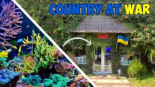 Fish Store in a Warzone: A Coral Lover&#39;s Paradise!