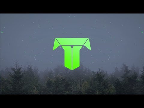 William James & Yetep - Light Up The Way (feat. chæ)