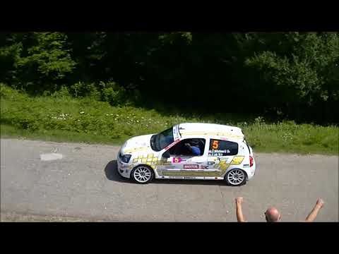 Zeljko Milutinovic / Uros Lukic - Rally Djerdap 2018 - Renault Clio RS N