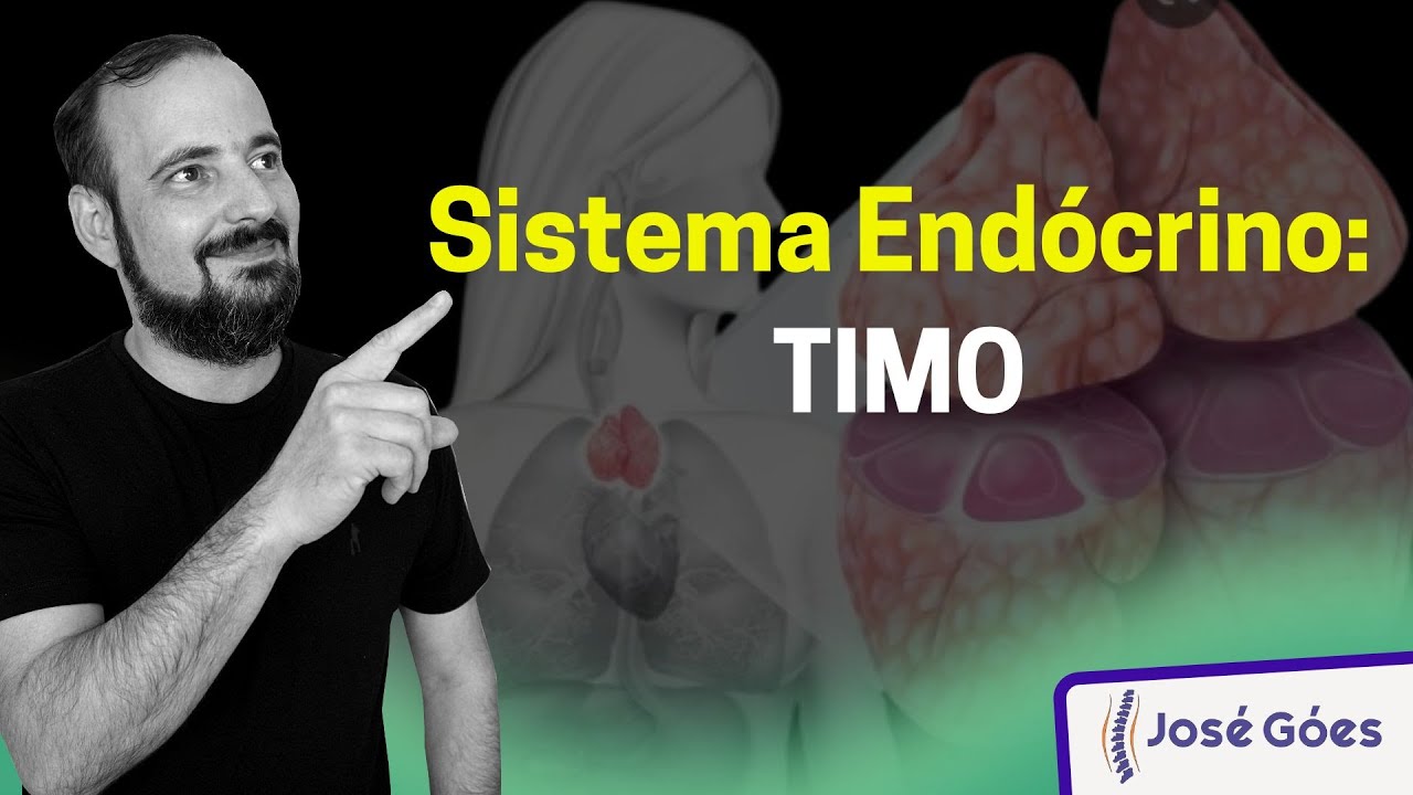 Sistema Endócrino: TIMO | José Góes
