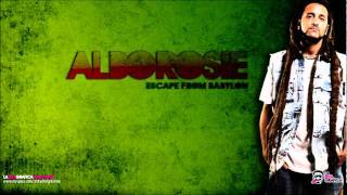 Alborosie - Outernational Herb