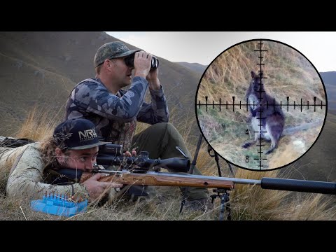 Sniping Wallabies in the Hills of New Zealand! (4K)