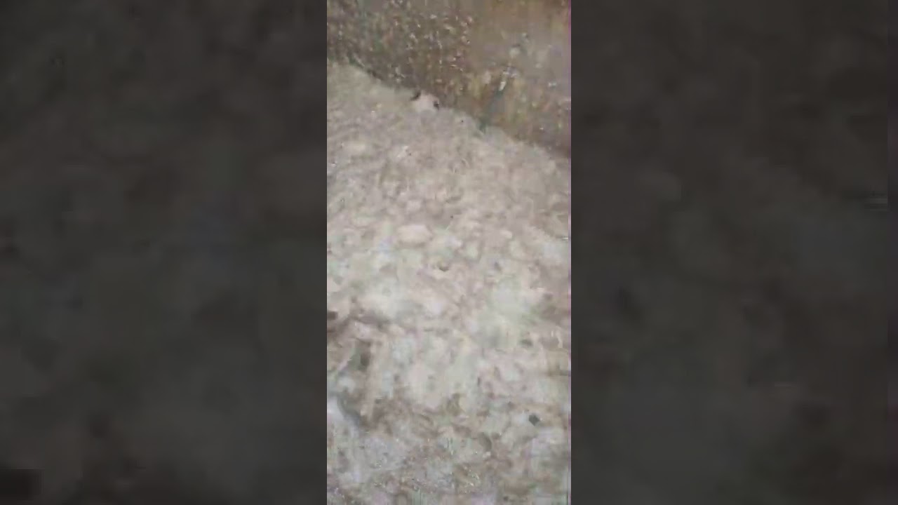 Antifoam agent for Corn starch glue processing