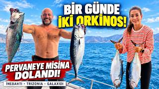 PERVANEYE MİSİNA DOLANDI! 😳 I İKİ ORKİNOSLA GELEN MUTLULUK 🎣🔥🔥 | İNEBAHTI, TRİZO