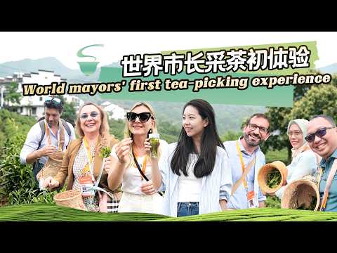 Watching a 'world mayors' tea-picking contest' in Huangshan