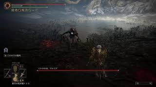 エルデンリング　2周目プレイ記録ライブ#73