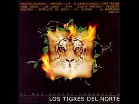 download lagu mp3 mp4 Fidel Nadal La Puerta Negra, download lagu Fidel Nadal La Puerta Negra gratis, unduh video klip Fidel Nadal La Puerta Negra