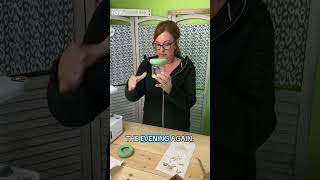 Stating INDOOR Pole Beans