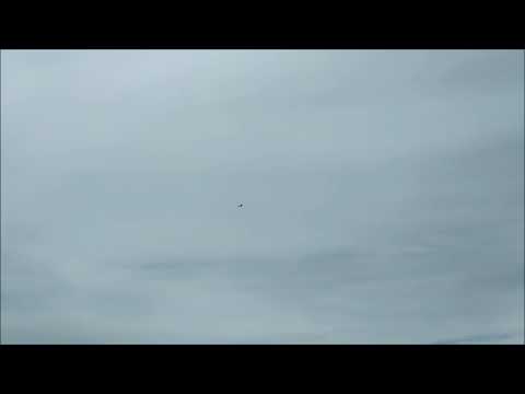 3Dlabprint Spitfire made from Colorfabb LW-PLA