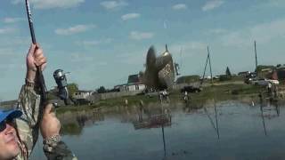 Рыбалка в апреле на озере ик омской области