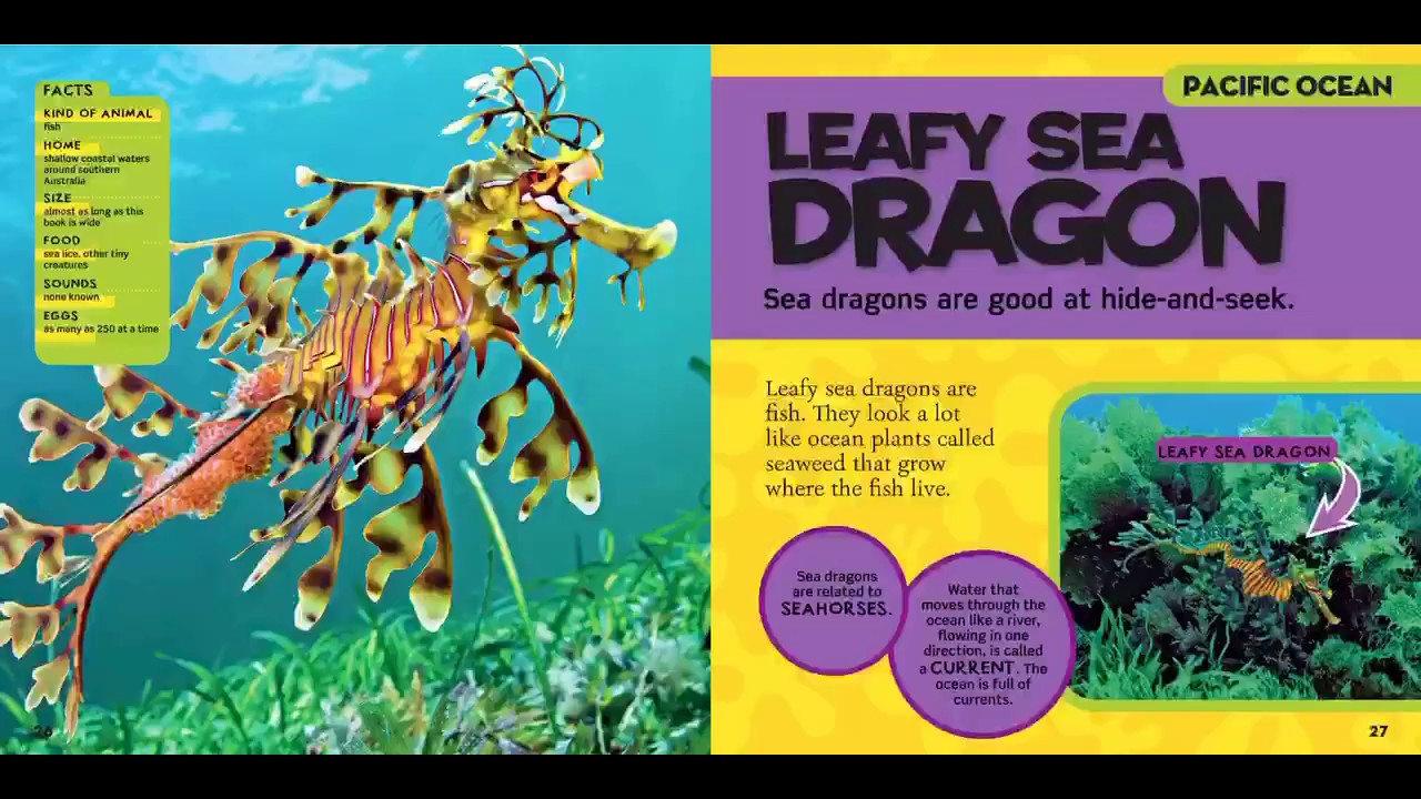 Ms. Alex reads about Leafy Sea Dragons (Coloring Page)