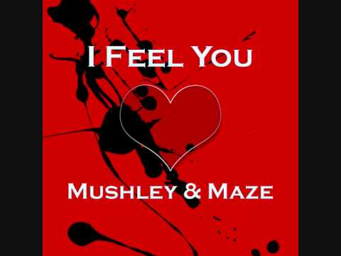 Mushley & Maze - I Feel You