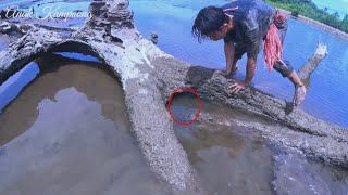 Download lagu This Man Was So Lucky He Found a King Crab While Hunting mp3 Download lagu This Man Was So Lucky He Found a King Crab While Hunting mp3
