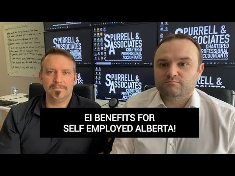 EI Benefits For Self Employed Alberta | Edmonton Business Consultant