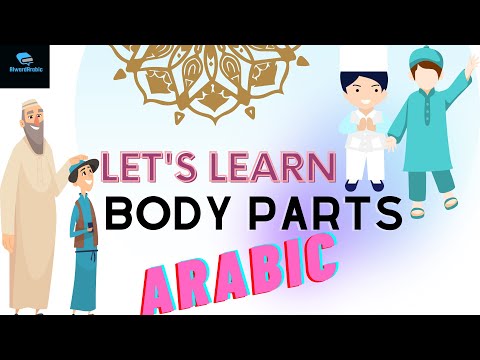 Human body parts in Arabic for beginners , Arabic vocabulary for kids and adults in ENG/HINDI/URDU.