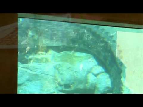 Tourists stuck as croc 'cage of death' breaks