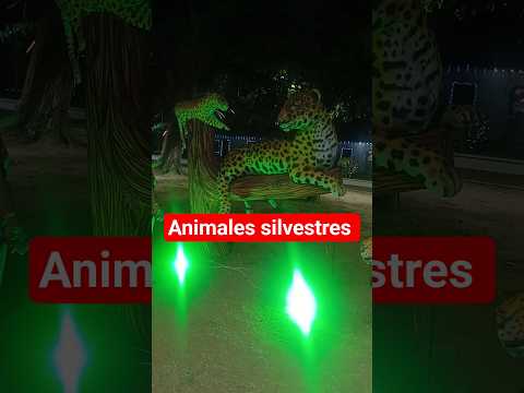 Navidad más linda. Alumbrado de San Martín Meta. #viral #shorts #fyp