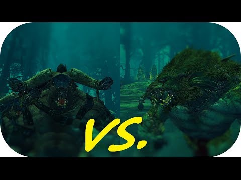 Total War: Warhammer II ♦ Fight Club ♦ Minotaurs vs. Rat Ogres