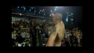 Festival de Viña 2011, Calle 13, Hormiga brava