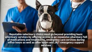 How to Select the Best Veterinary Clinic in Florida