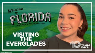 Planning a trip to the Everglades? Here’s what you need to know