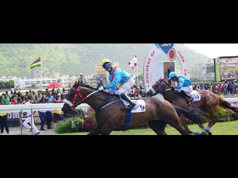 The Duchess Of York Cup 2017 - Ready To Attack