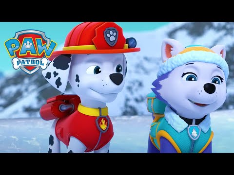 Salvarea Ursului Polar! 🐻‍❄️ - PAW Patrol - Desene animate pentru copii