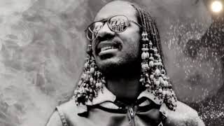 Stevie Wonder-My Love Is On Fire.  (2005)