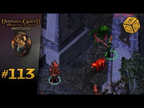 Animal-based siege tactics - Let's Play Baldur's Gate 2: Shadows of Amn #113