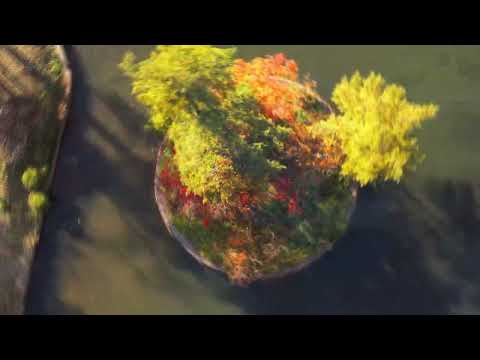 長岡市　悠久山公園の四季