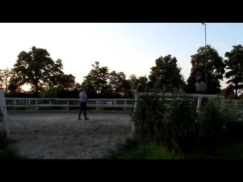 INARO-(by Iberio / Next Van Thornzele Z)