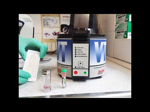 In-house PCV and Total Protein