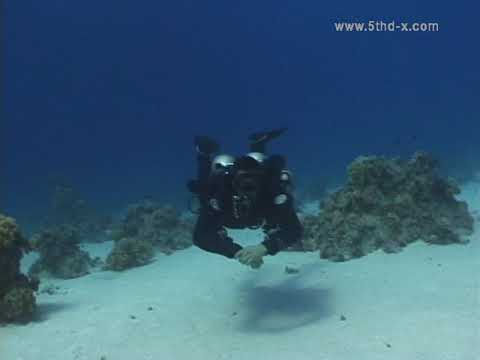 (5thD-X) Essentials Of Technical Diving (Stages - Proper Trim With Doubles And One Deco Bottle)