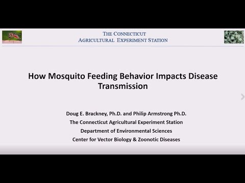 How Mosquito Feeding Behavior Impacts Disease Transmission