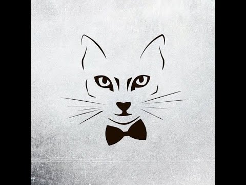 PAX x The Motans - Vara În Care M-ai Găsit  (NTNO Remix)