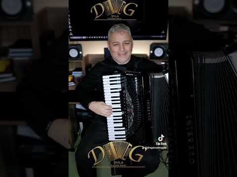 Svita - Harmonika - Dragan Gula Savic