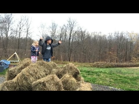 Hay delivery day!