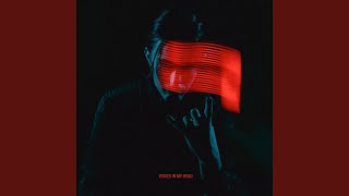 Voices In My Head