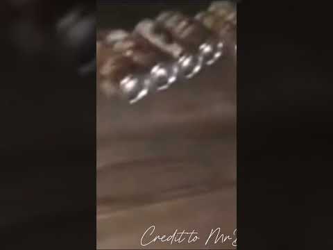 ROOT BEER￼ NAR ROOT BEER NAR NOT THAT MUCH ROOT BEER😭 #ROOT BEER