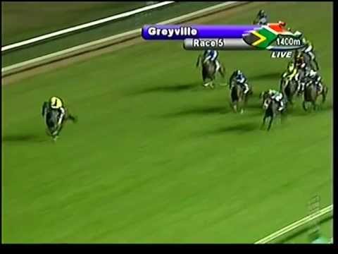2013-02-19 Greyville - race 5