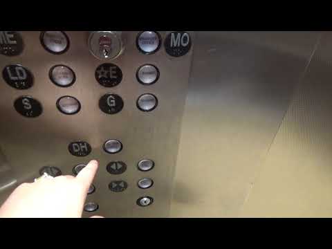 EPIC MOTOR: 2010 Bison hydraulic elevator @ Buffalo Niagara Convention Center  Buffalo, NY