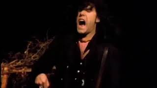 The Tea Party - Save Me (MUSIC VIDEO)