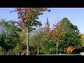 Kelvingrove Park Autumn Colours Glasgow Scotland