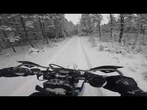 AmyElle, Tom Ashbrook - Tom Tune