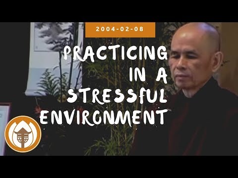 Practicing in a Stressful Environment | Dharma Talk by Thich Nhat Hanh, 2004.02.08